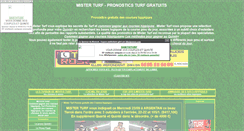 Desktop Screenshot of mister-turf.com