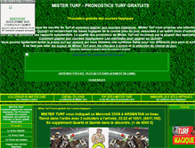 Tablet Screenshot of mister-turf.com